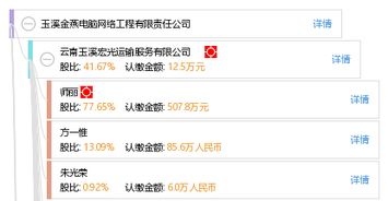 玉溪金燕电脑网络工程有限责任公司 计算机网络工程的卓越实践与创新服务