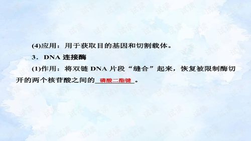 基因工程与网络资源 高考复习与计算机网络工程的交集